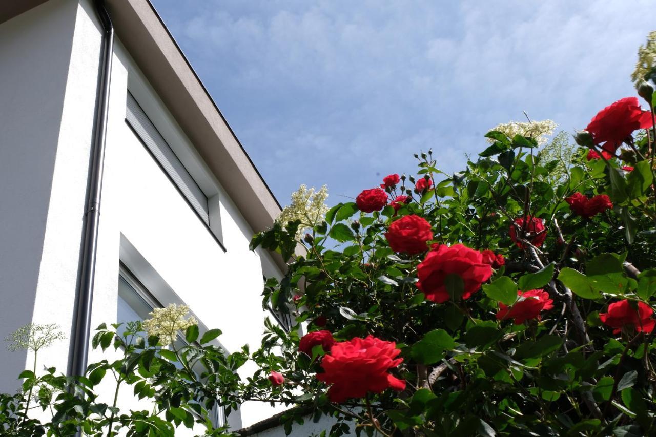 Apartment Le Rose Di Marianne - Ovest Vahrn Bagian luar foto